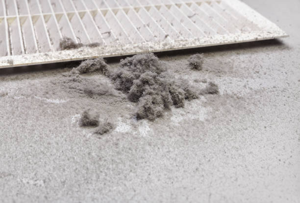 Best Emergency Air Duct Cleaning  in Elroy, WI